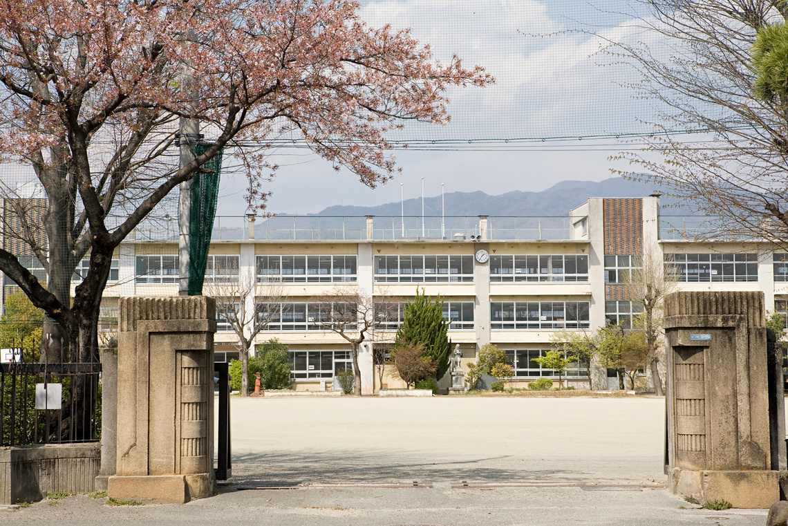 School gates